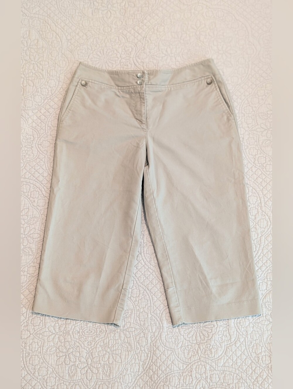 Ann Taylor Petites Margo Crop Pants Light Tan Color Soft Stretch Size 6P